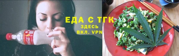 индика Горняк