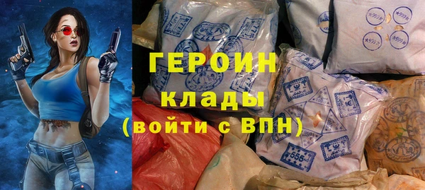 шишки Сясьстрой