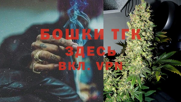 кокс Гусев