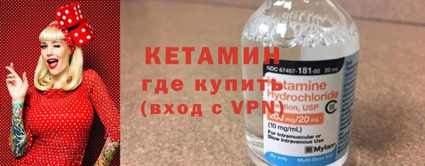 шишки Сясьстрой