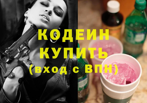 амф Гусь-Хрустальный