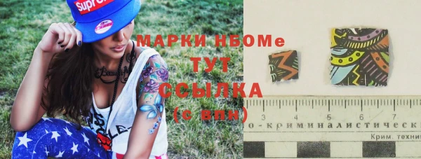 индика Горняк