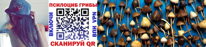 купить наркоту  кракен онион  Галлюциногенные грибы мицелий  даркнет формула  Далматово 